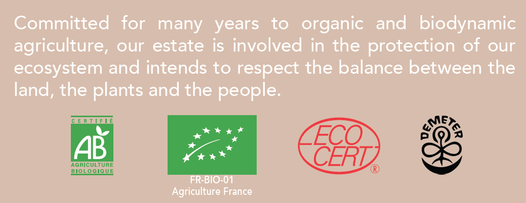 sustainable_logo__0__tripleb2015certificationsuk.png